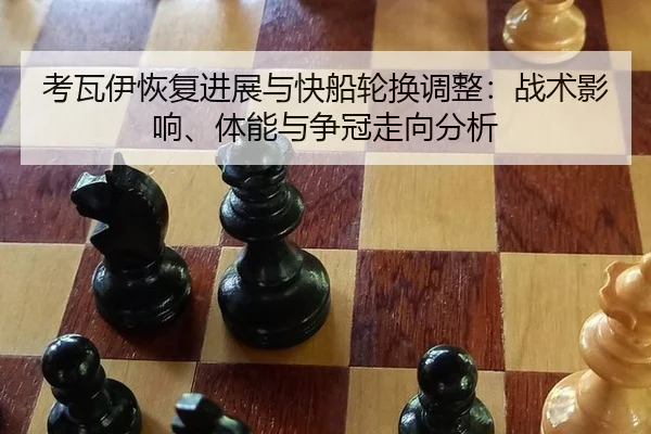 kao-wa-yi-hui-fu-jin-zhan-yu-kuai-chuan-lun-huan-tiao-zheng-zhan-shu-ying-xiang-ti-neng-yu-zheng-guan-zou-xiang-fen-xi-2-686.jpg